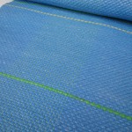Blue runner with green and gray stripe